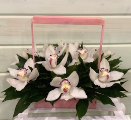 Корзина из Орхидей
